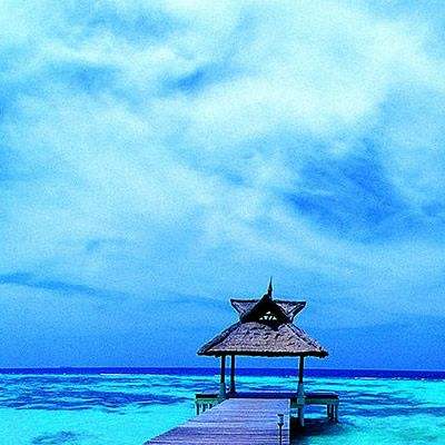 南宫体育app下载